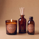 Honeyed Mango Large Refillable Soy Candle & Reed Diffuser Bundle