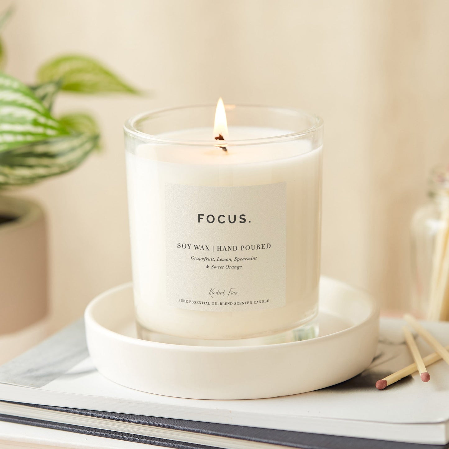 Focus Aromatherapy Candles - Kindred Fires
